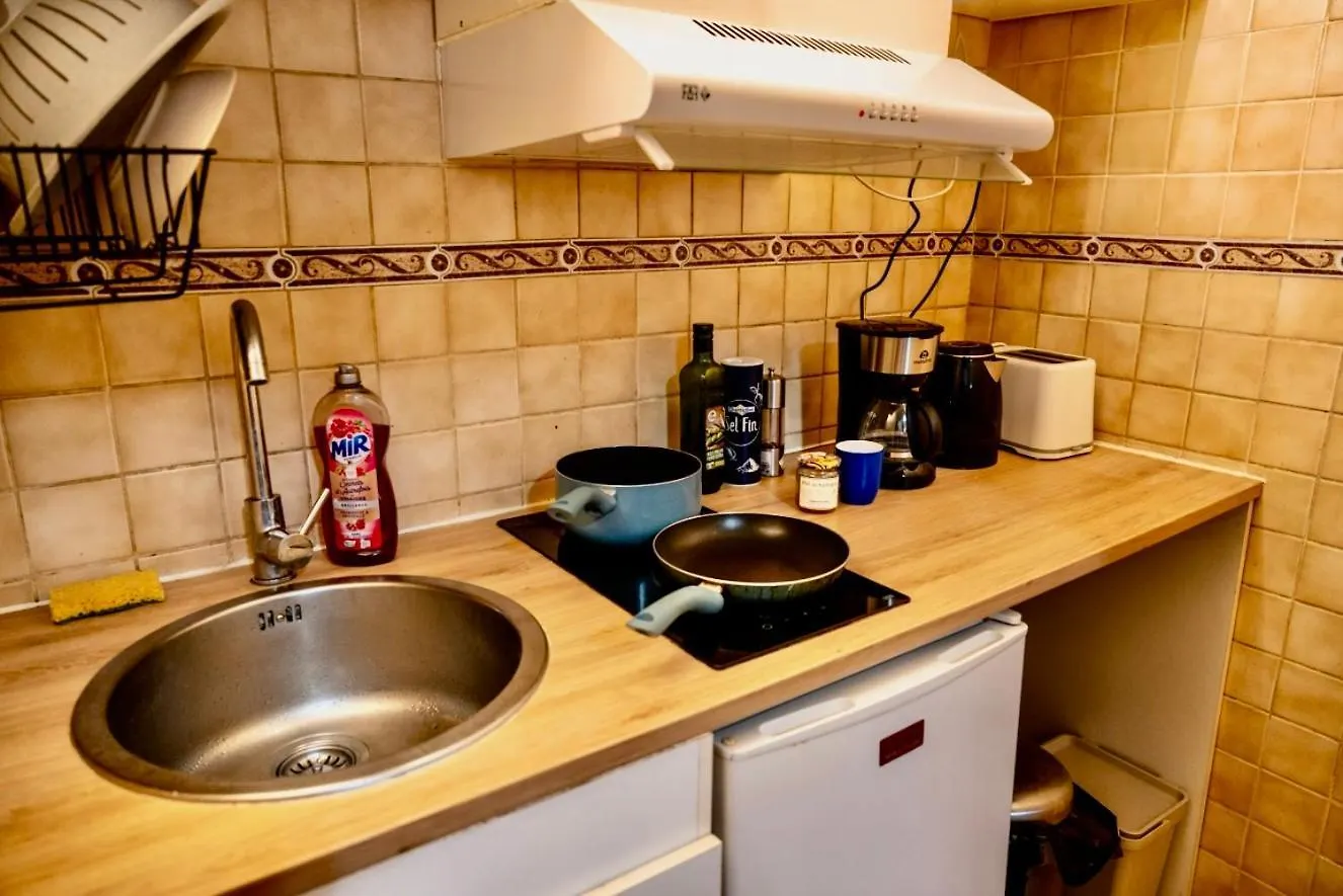 Apartment Sublime Studio - Centre & Tout Equipe Grenoble